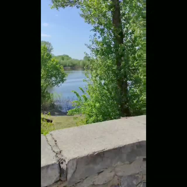 ...