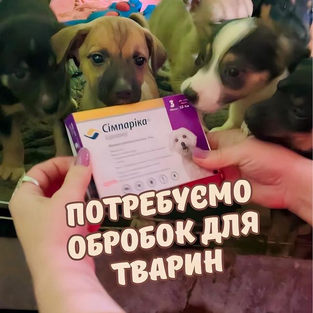 ...